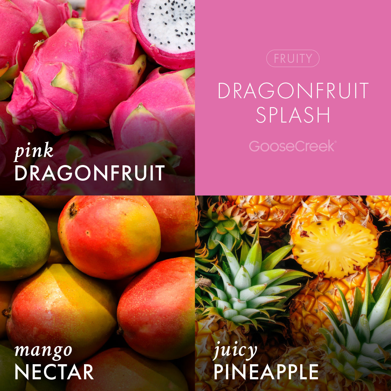 Dragonfruit Splash Odor Eliminating Wax Melt - Image 2
